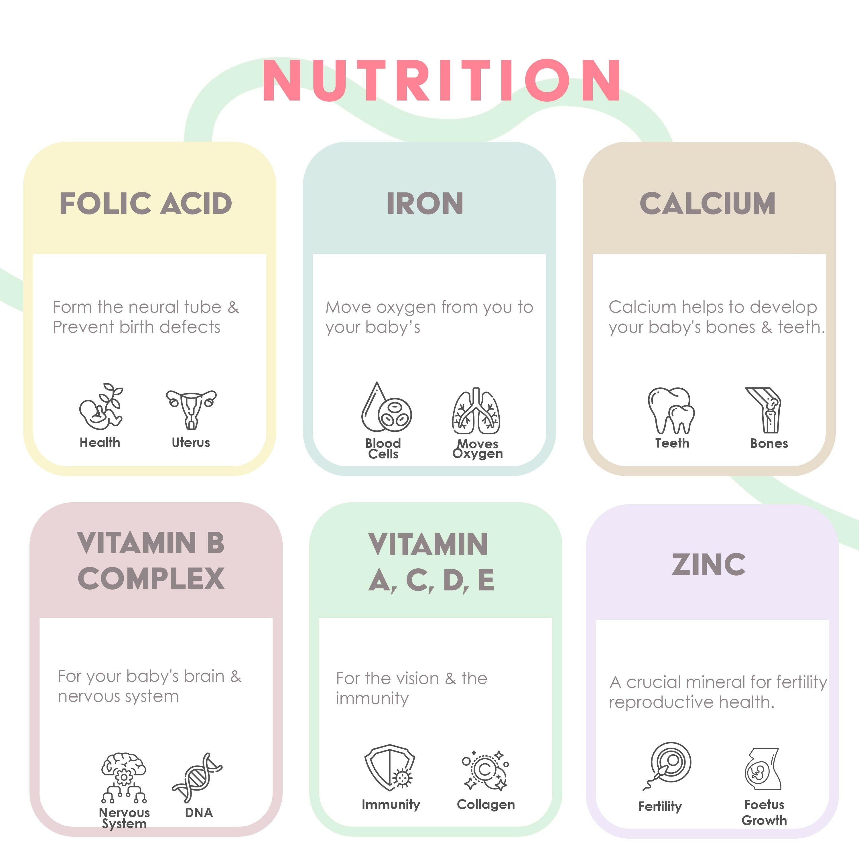 Prenatal Whole Food Nutrient Formula.