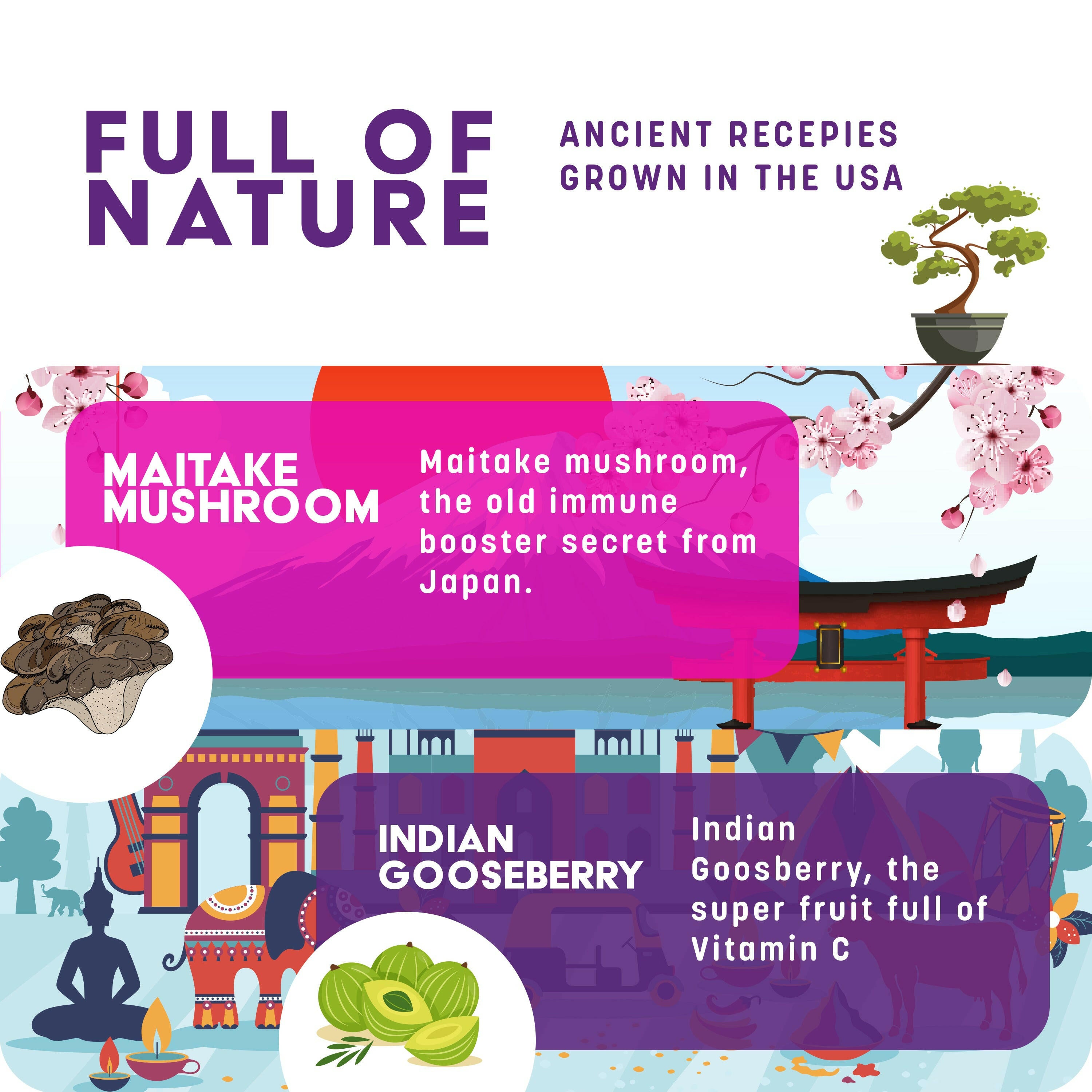 Liquid Kids Immune Boost – with Organic Elderberry Syrup, Zinc & Vitamin C for Toddlers/Children & Adults.